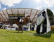 STAUT ESTOY AQUI LaBaule2013- S4 9901 : 2013, ESTOY AQUI, La Baule, STAUT KEVIN, foto di Stefano Secchi ©
